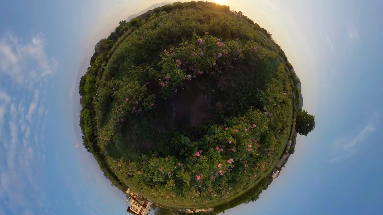 360° заснемане и VR разходка в Розовата долина